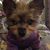 Becky Milstead Vidrine's profile image