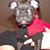 Brian DeCoux's profile image