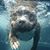 Jason W Horst's profile image