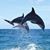 Becky Barnett Yarbrough's profile image