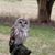 Kathryn Weigle's profile image
