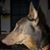 Mike Mills's profile image