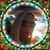 Gigi Coburn's profile image