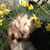 Barbara Nickles's profile image