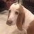 Corey Thompson Keith's profile image