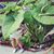 Michelle Wigle's profile image