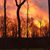 Shelley Stead Whisenant's profile image