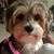 Barbara McQueen's profile image
