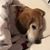 Harolyn Legg's profile image