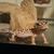 Carol Rosso's profile image