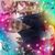 Mary Nichter's profile image