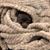 Gina Fortenberry Huwe's profile image