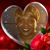 Brenda Wright's profile image