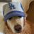 Jo-Ann Norton's profile image