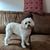 Lori Tacy Pelitera's profile image