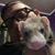 Daniel Ray Taylor's profile image