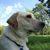 Mick Pugh's profile image