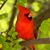 Beverly Spence's profile image