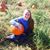 Rebekah Rader's profile image