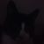 Shawn Michael Brandow's profile image