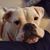 Fiona Grace's profile image