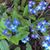 Susan Painter Alexander's profile image