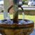 Kathy Tyger Totten's profile image