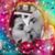 Samantha Tedesco's profile image