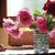 Deborah Mach's profile image