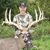 Bill Taylor's profile image