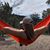 Bridget B. Bereznak's profile image