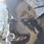 Aeriel Loveall's profile image