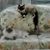 Dee Mustin's profile image