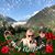 Letha Seering's profile image