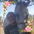 Lorie Baker-Hernandez's profile image