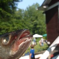 Heather Moore's profile image