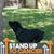 Lenea Gunter's profile image