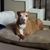 LaToya Moss's profile image