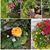 Debby Neuman-Griffith's profile image