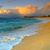 Leigh Ann Soles's profile image