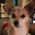 Linda Plevinsky Pinkus's profile image