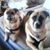 Tamie Gish's profile image