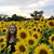 Valerie Lattell's profile image