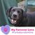 Annette Marie Reale's profile image