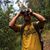 Carlos Villavicencio's profile image