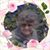 Judy Daina's profile image