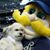 Bernie Brewer's profile image