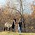 Sandi Schlagel Attaway's profile image