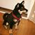 Karen Libby's profile image