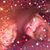 Michelle Riley Wells's profile image